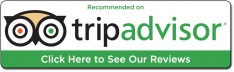 TripAdvisor Reviews